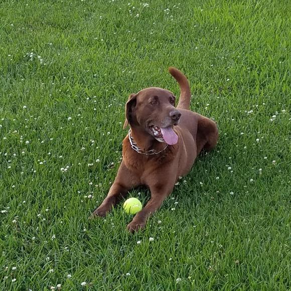 Meet your Posher, Ellen - Picture 1 of 1